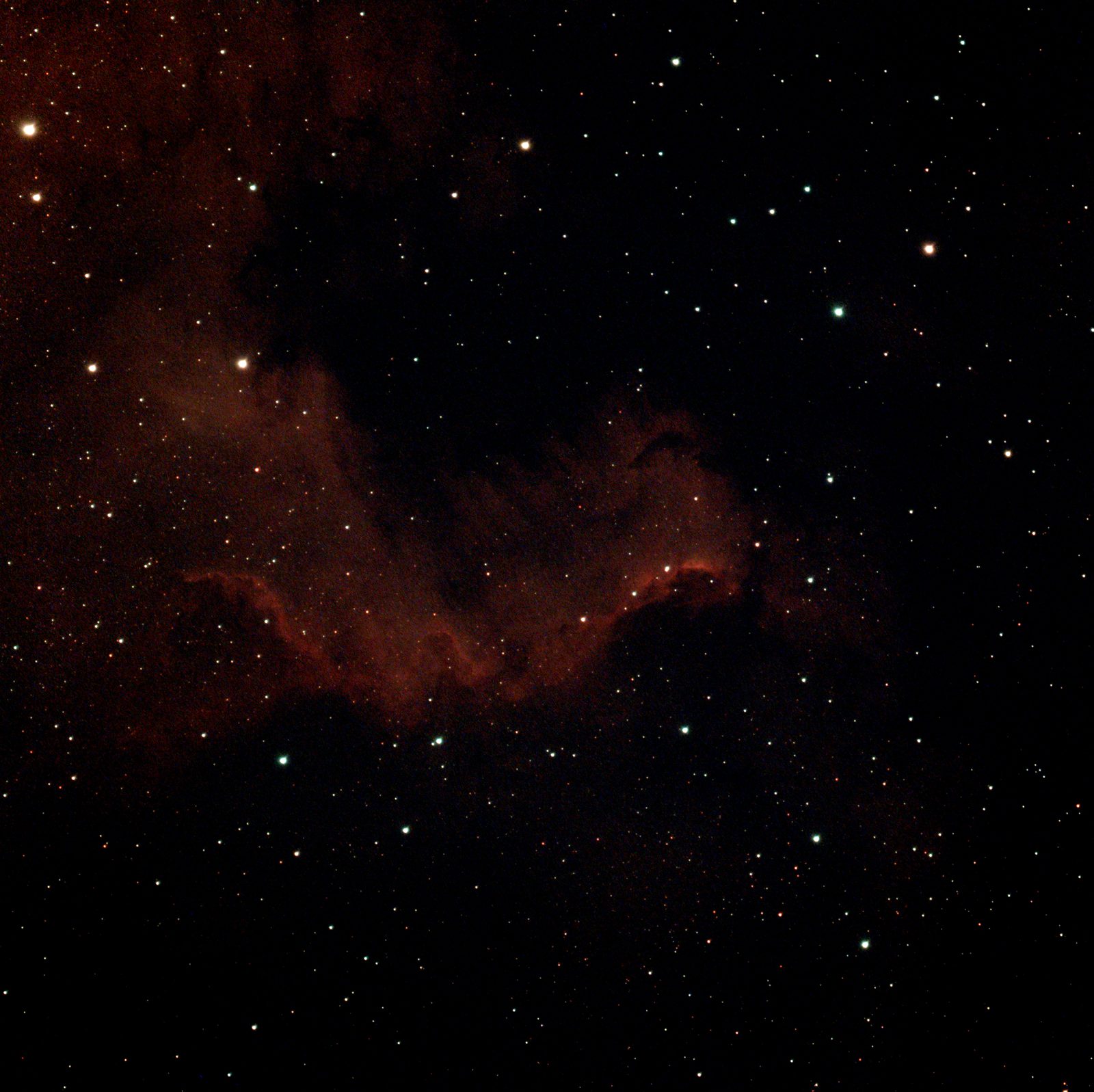 Nordamerikanebel NGC 7000
