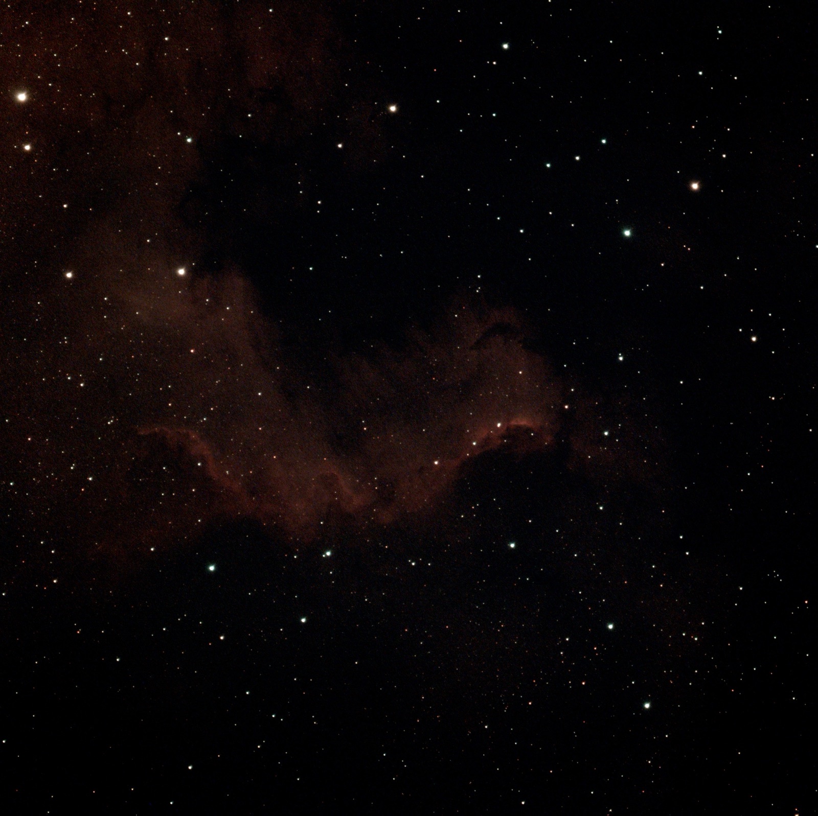 Nordamerikanebel NGC 7000